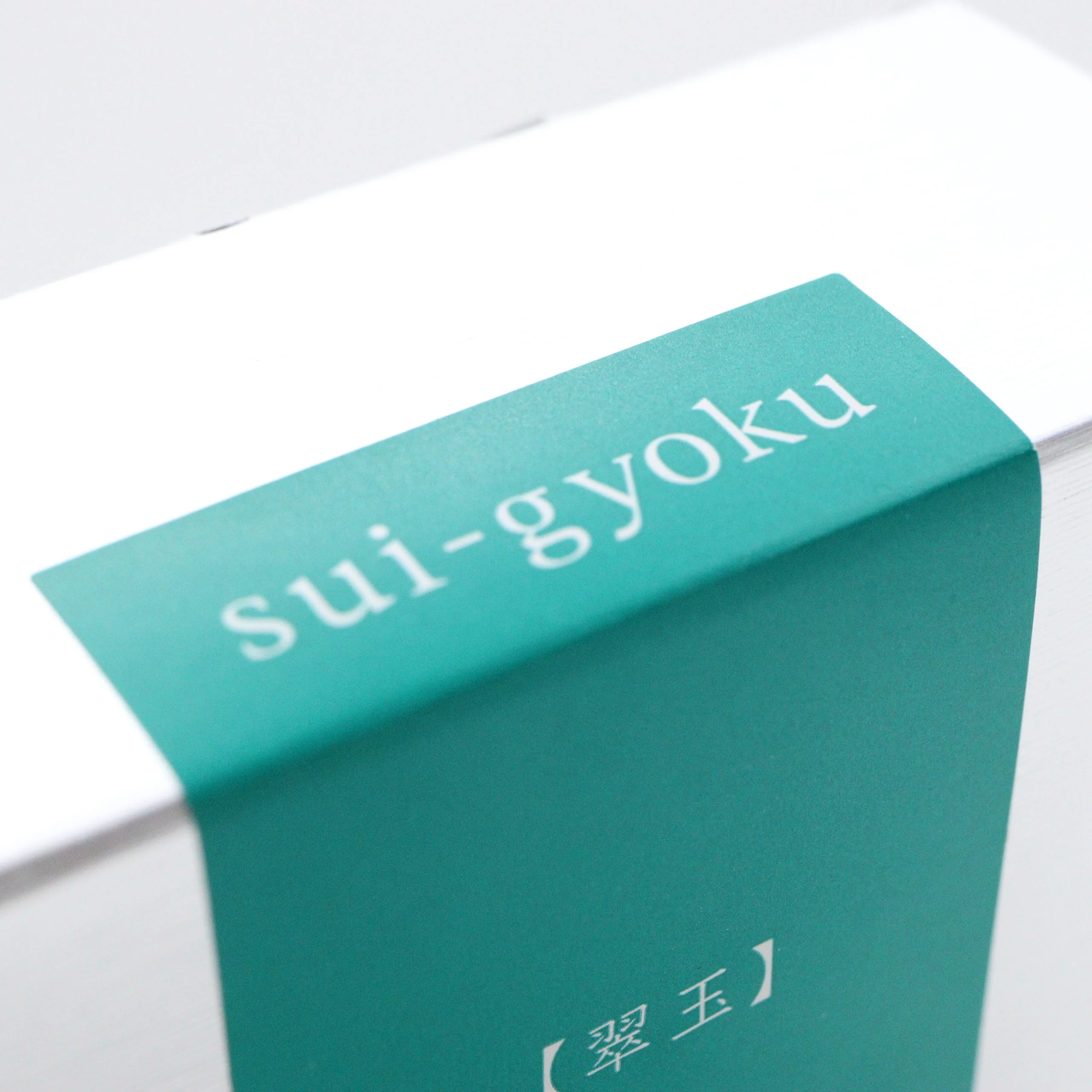 PILOT – Iroshizuku Fountain Pen Ink - 50mL Bottle | Sui-Gyoku - Image 4