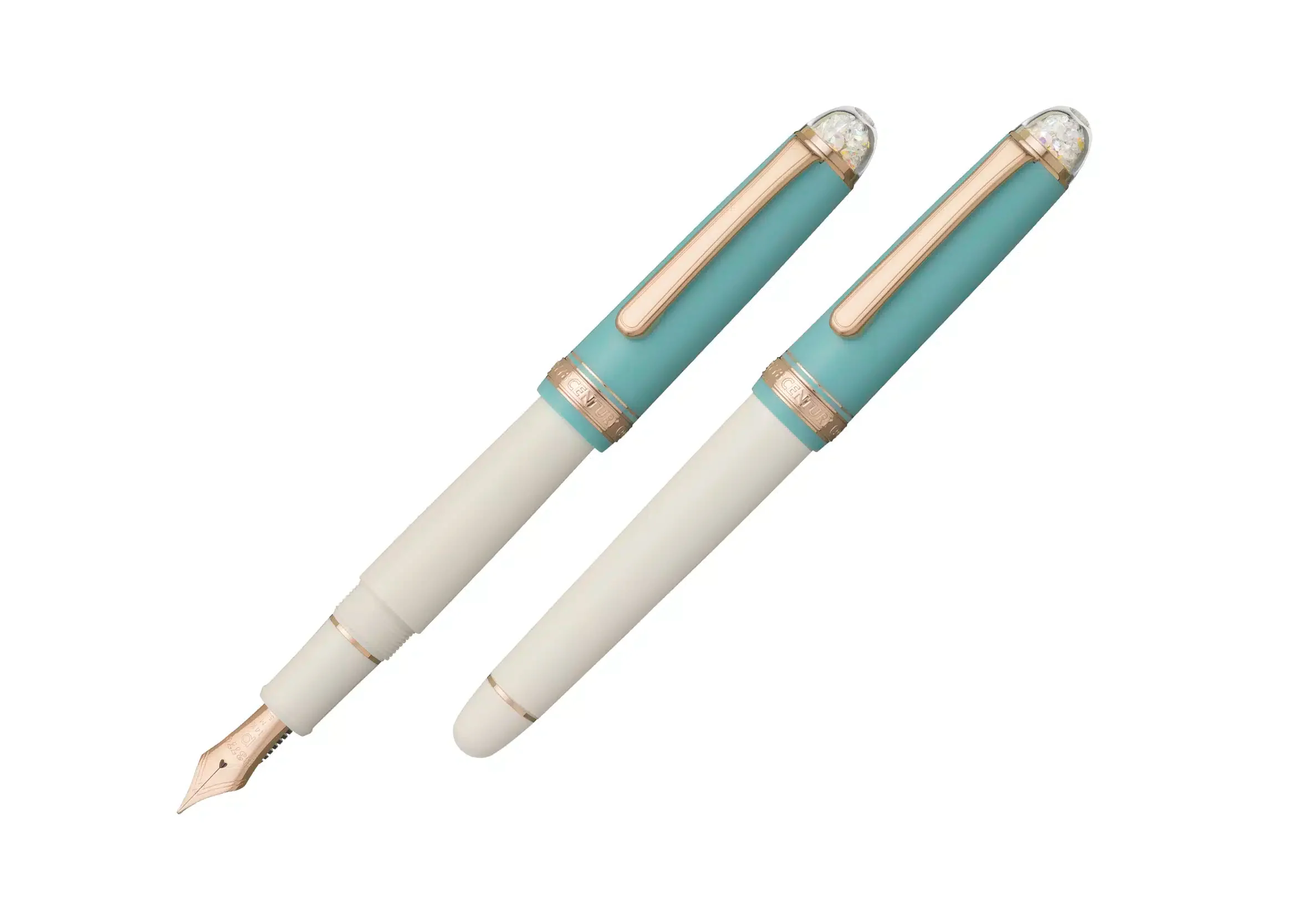 Platinum - #3776 Century Fountain Pen - Shape of Heart Bluebird (Limited Edition)