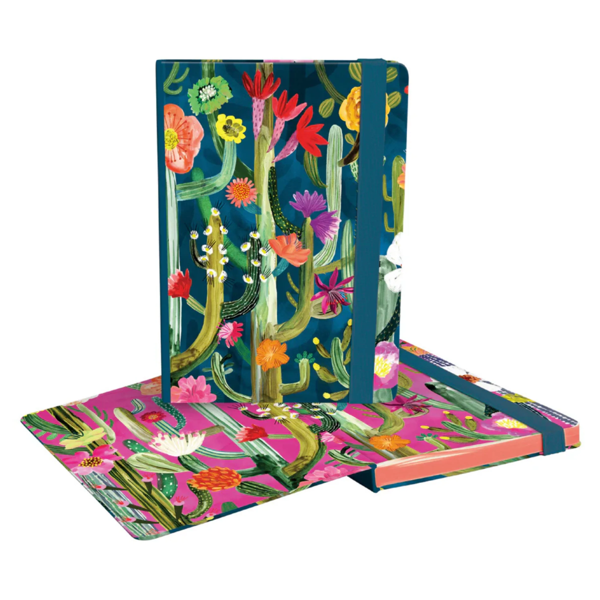 Roger la Borde - A5 Journal - Cactusland - Image 2