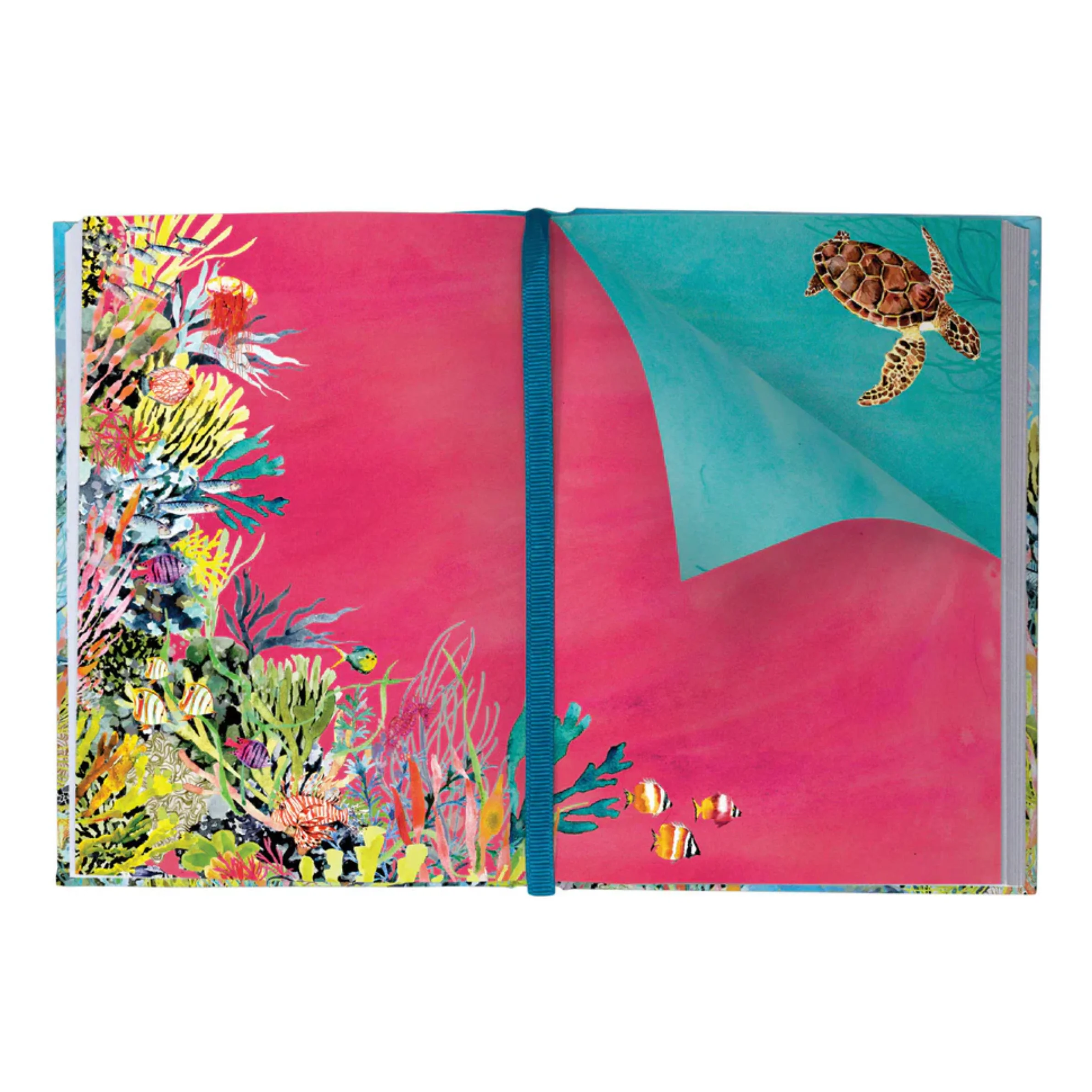 Roger la Borde - Luxe Illustrated Journal - Oceania - Image 3