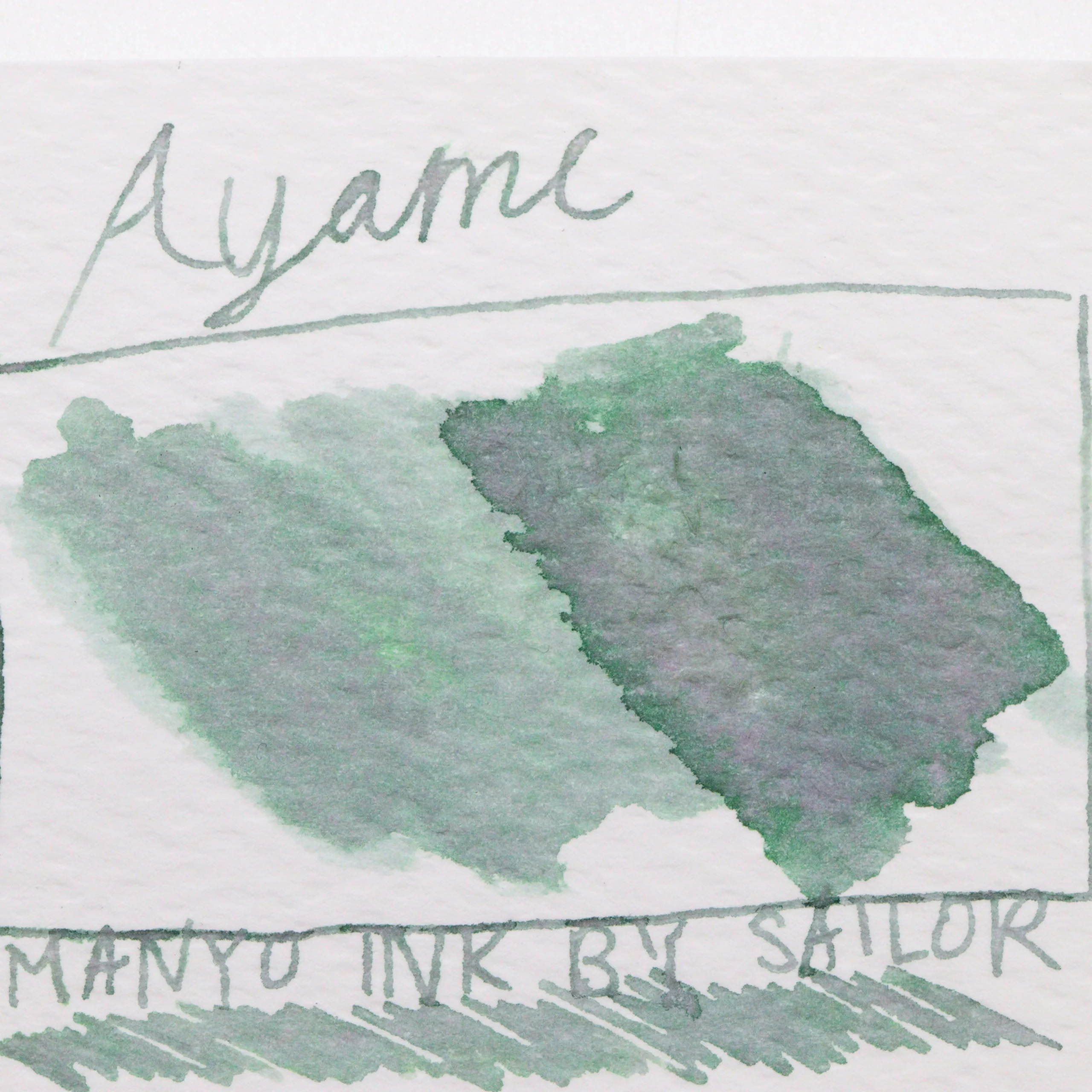SAILOR PEN - Manyo Ink - Bottled Fountain Pen Dual Shading Ink (50ml) - AYAME (Green-Grey) - Image 2