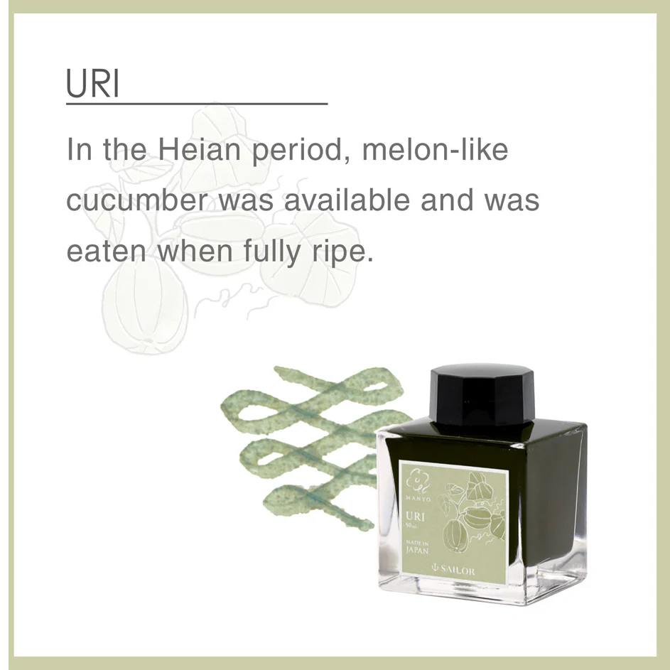 SAILOR PEN - Manyo Ink-  Bottled Fountain Pen Ink (50ml) - Uri - Image 2