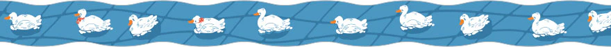 SODA - 15mm Die Cut Washi Tape - Duck Pond - Image 2
