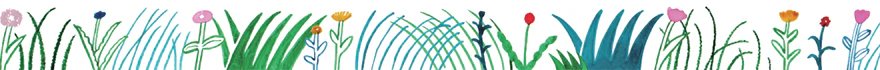 SODA - 15mm Transparent Washi Tape - Grass - Image 2