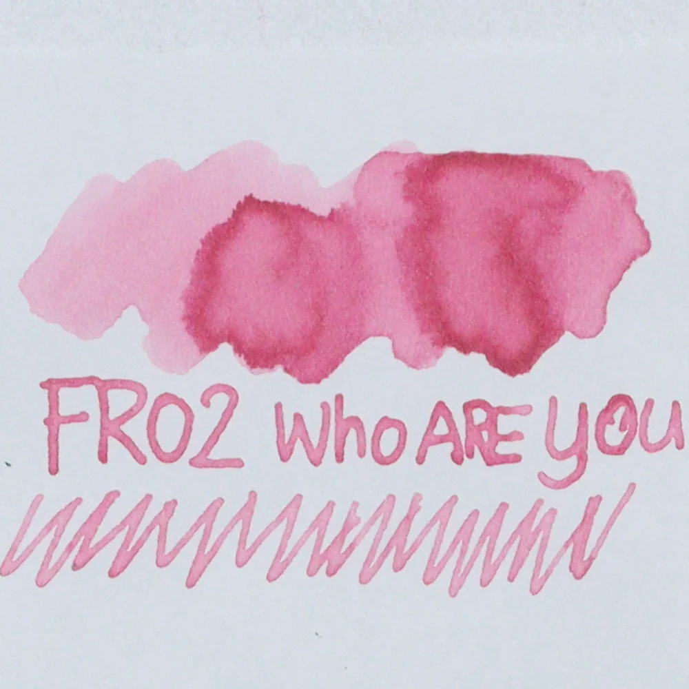 TONO & LIMS - 30ML Fountain Pen Ink - Friendship Series - WHO ARE YOU? - Image 2