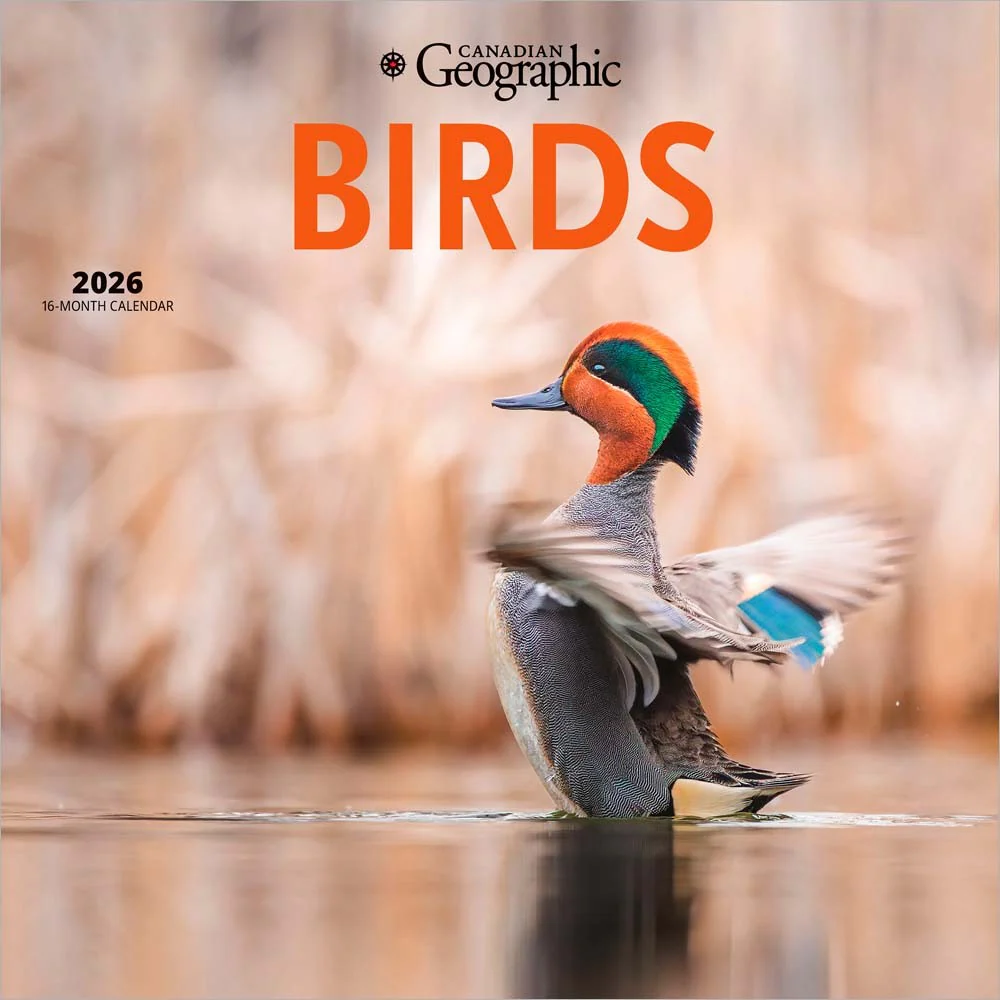 Wyman - 2026 Calendar - Canadian Geographic Birds