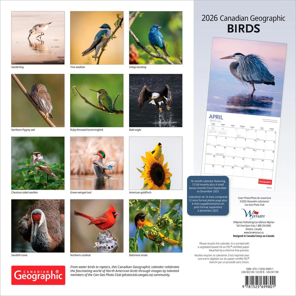 Wyman - 2026 Calendar - Canadian Geographic Birds - Image 2