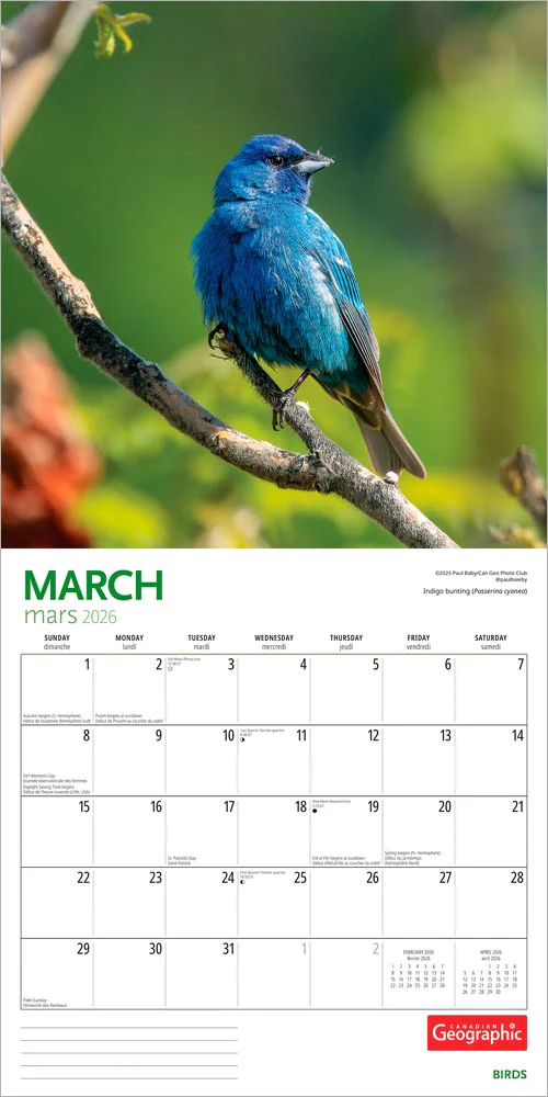 Wyman - 2026 Calendar - Canadian Geographic Birds - Image 3