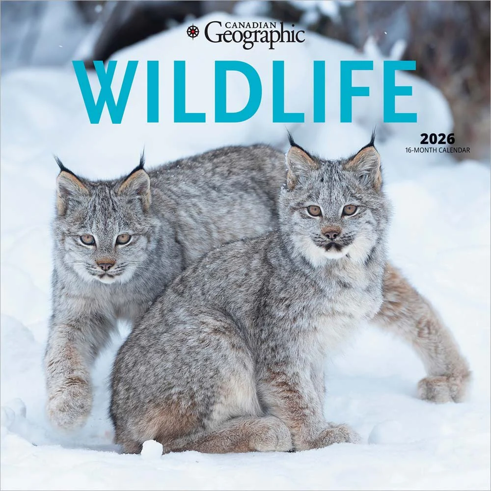 Wyman - 2026 Calendar - Canadian Geographic Wildlife