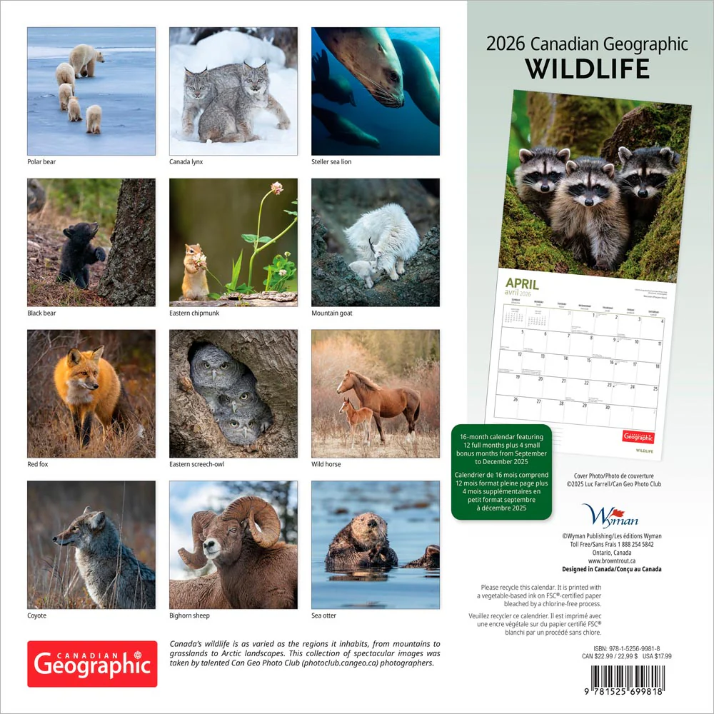 Wyman - 2026 Calendar - Canadian Geographic Wildlife - Image 2