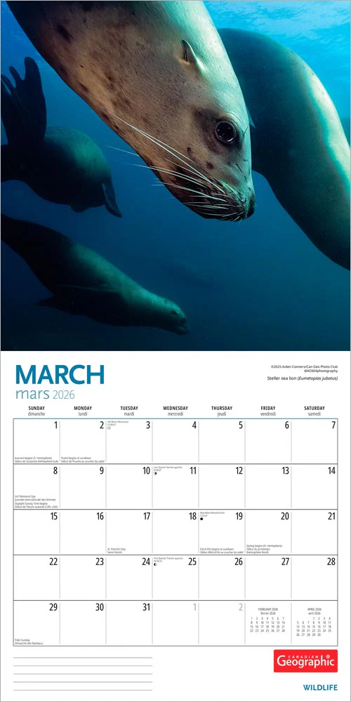 Wyman - 2026 Calendar - Canadian Geographic Wildlife - Image 3