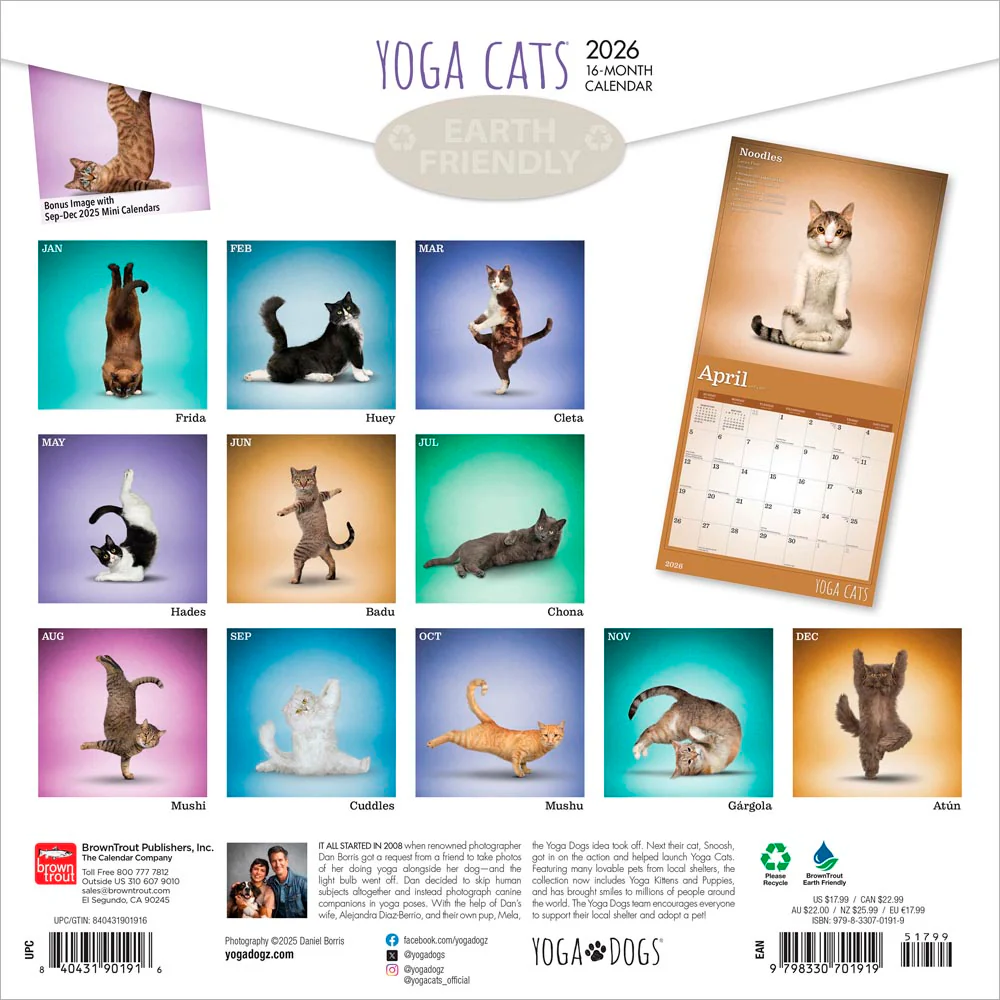 Wyman - 2026 Calendar - Yoga Cats - Image 2