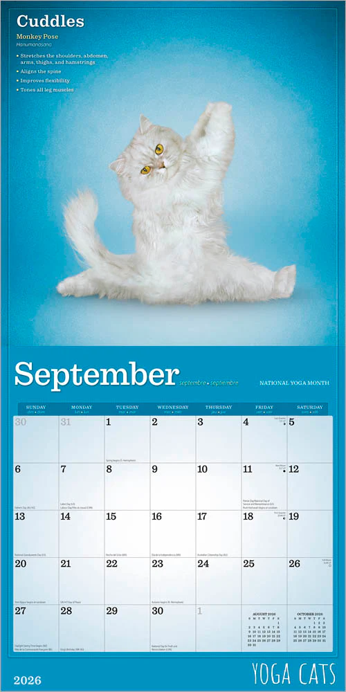 Wyman - 2026 Calendar - Yoga Cats - Image 3