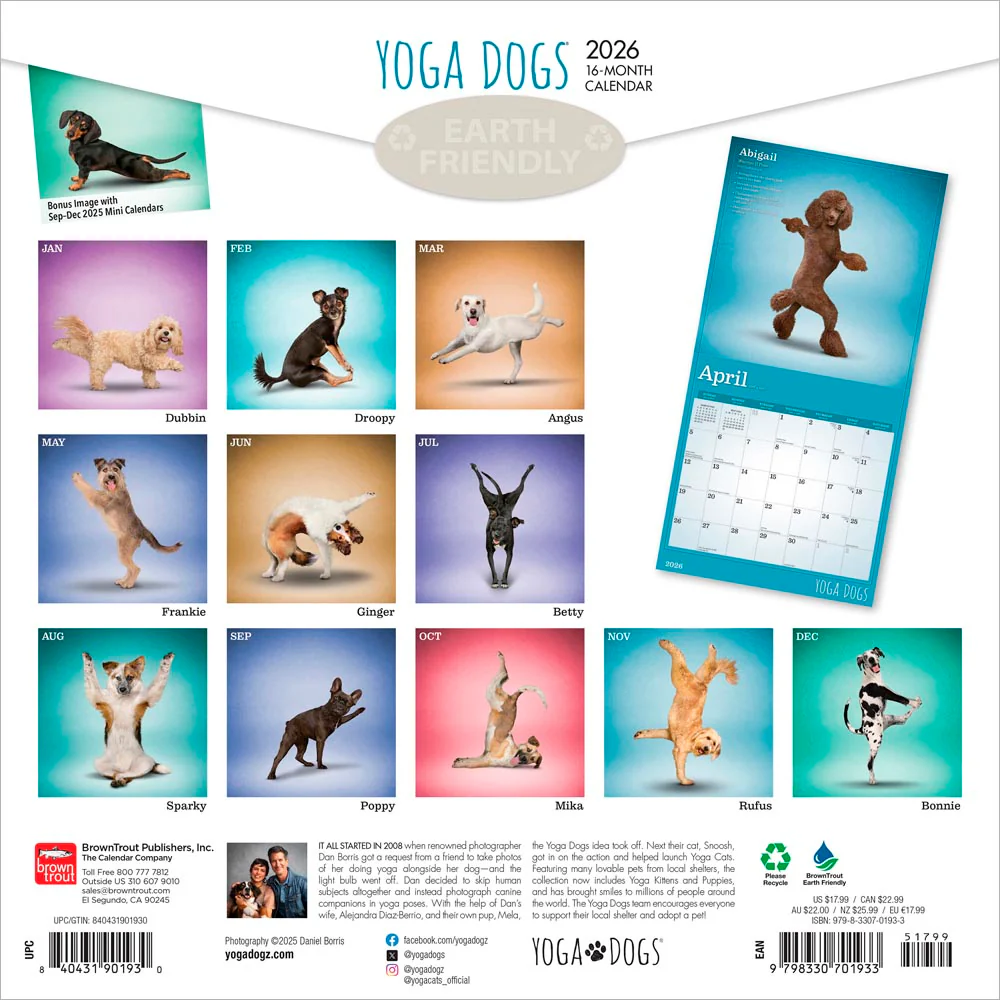 Wyman - 2026 Calendar - Yoga Dogs - Image 2