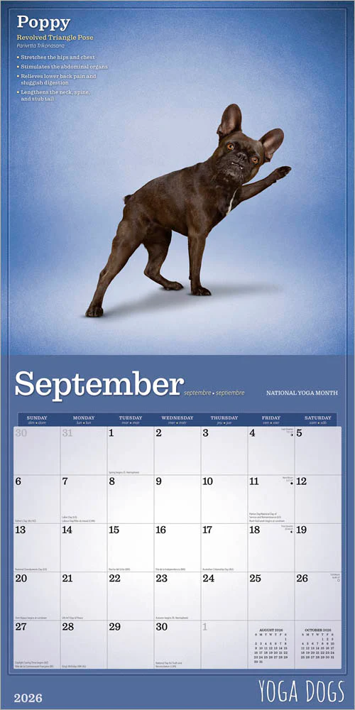 Wyman - 2026 Calendar - Yoga Dogs - Image 3